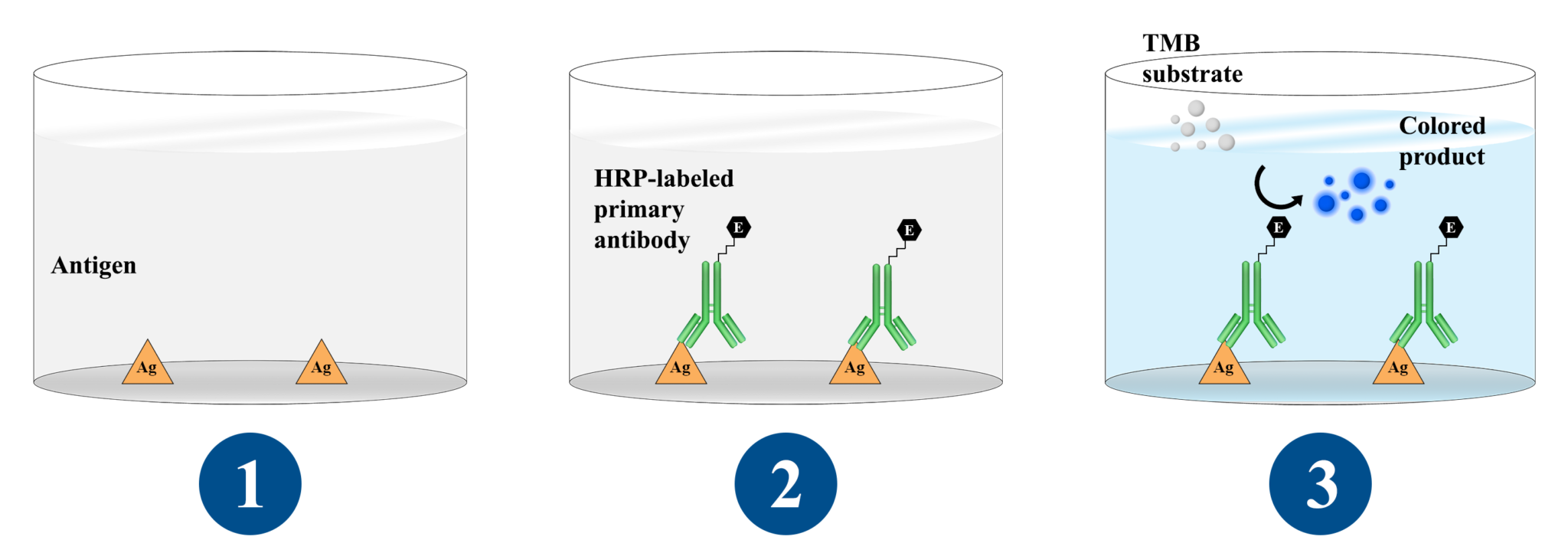 elisa-test-principle-types-and-applications-meefro