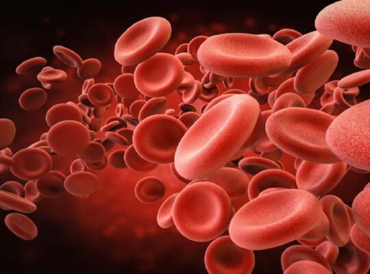 Erythropoiesis(Production of Red Blood Cells)