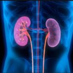 Drug Induced Renal Disorders/ Nephrotoxicity
